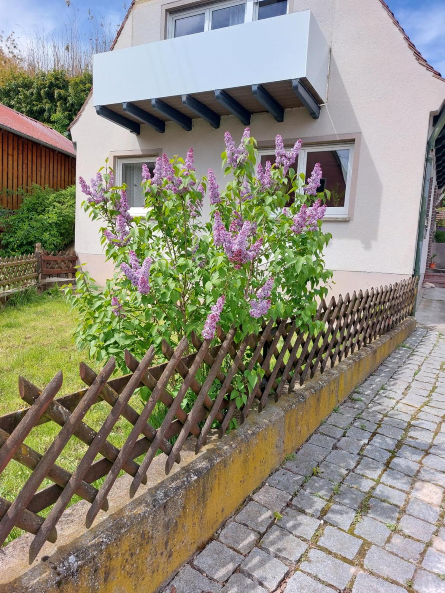 Sehr Beliebt! Ferienhaus Zur Donau Herbertingen Exteriör bild